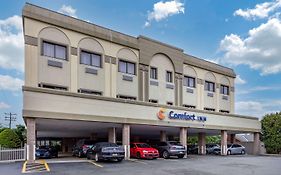 Comfort Inn Syosset